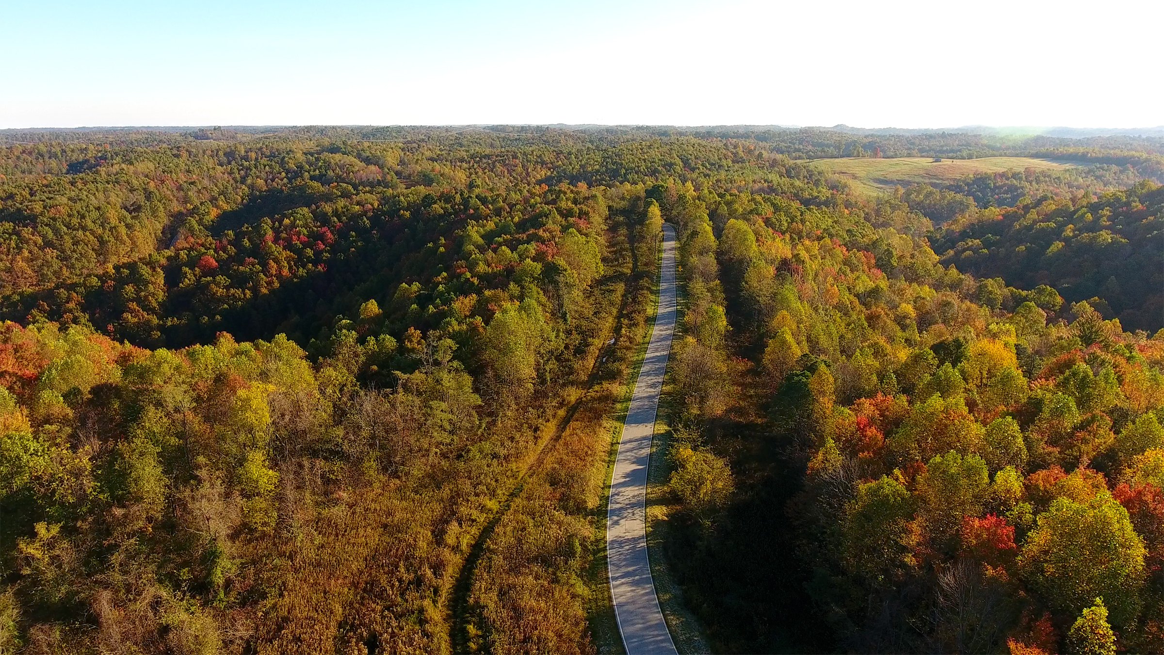 Property photo 28 - LAND AUCTION - 1,682+/- ACRES OFFERED IN 17 TRACTS IN LEWIS & GREENUP COUNTIES, KENTUCKY